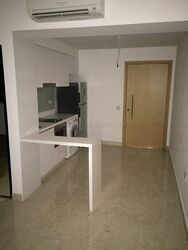 Eight Riversuites (D12), Condominium #484676071